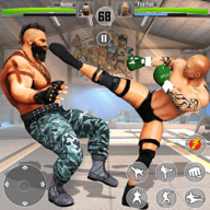 功夫格斗空手道（Kungfu Fighting）免费手机游戏下载