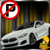 停车场任务Car Parking Missions Simulator游戏手机版